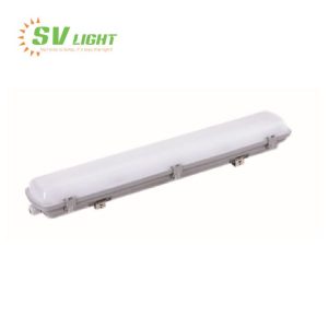 Đèn chống thấm IP65
