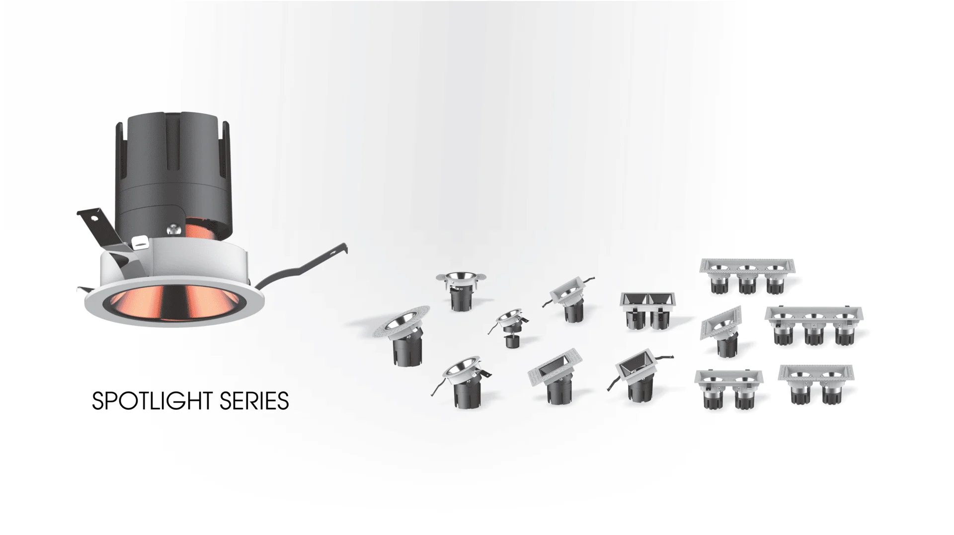 Banner - Spotlight series