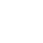 Warranty & Maintenance