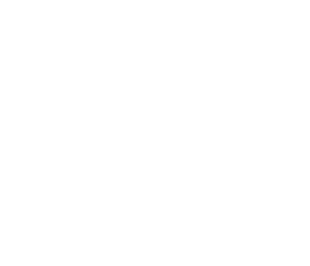 logo-SVLight
