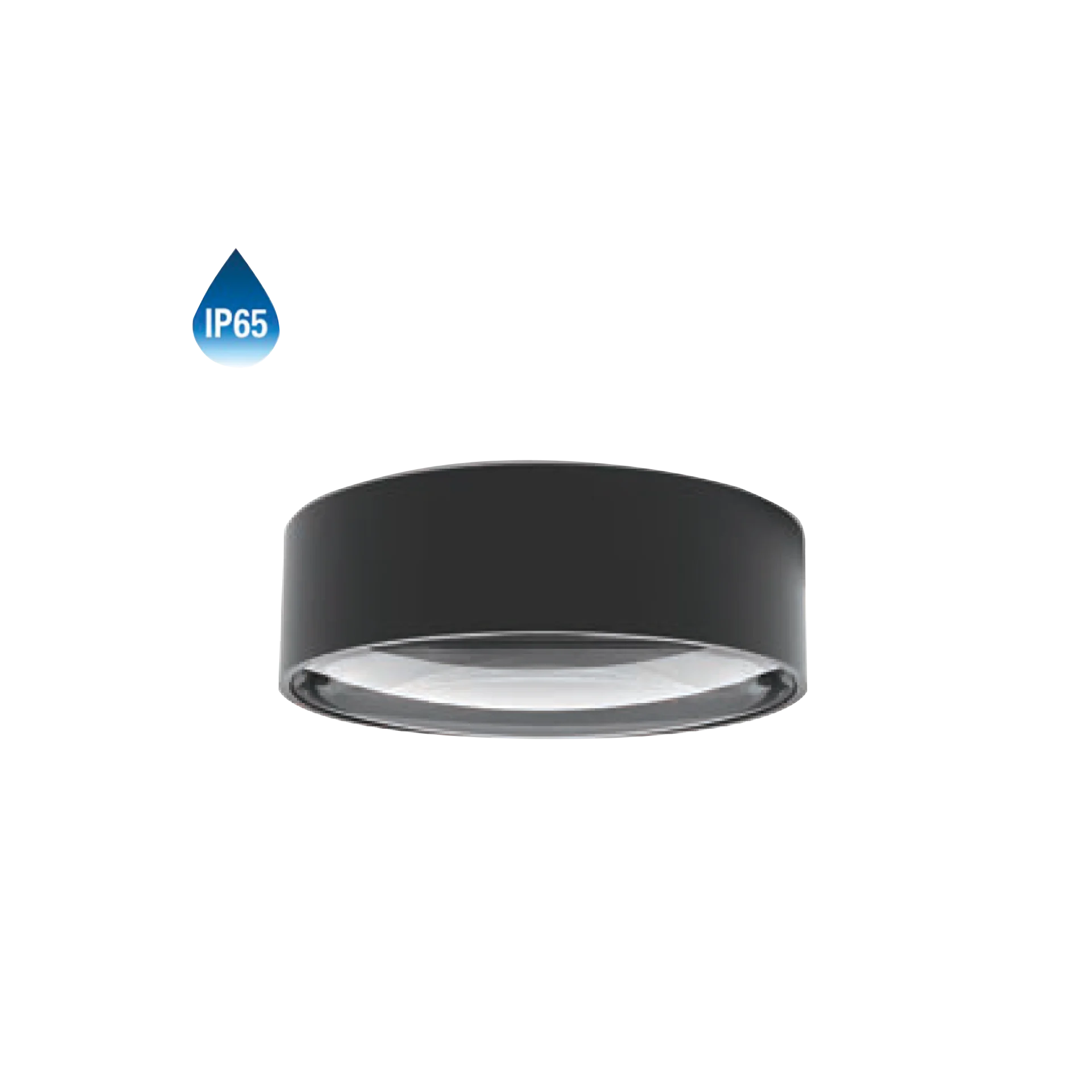 Đèn Ốp Nổi SVO-U6507N